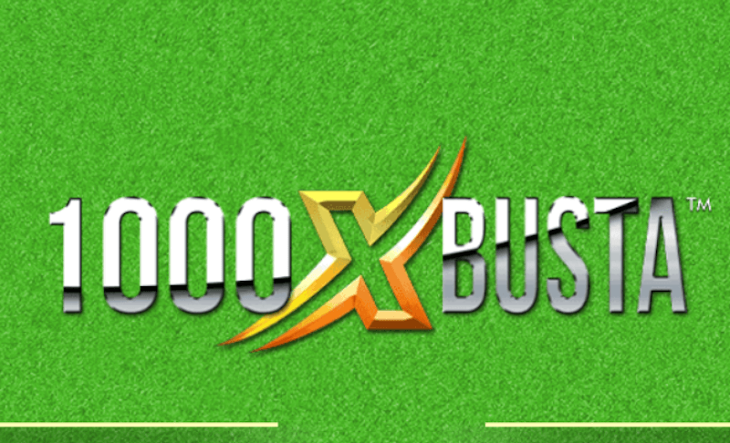 1000 x Busta